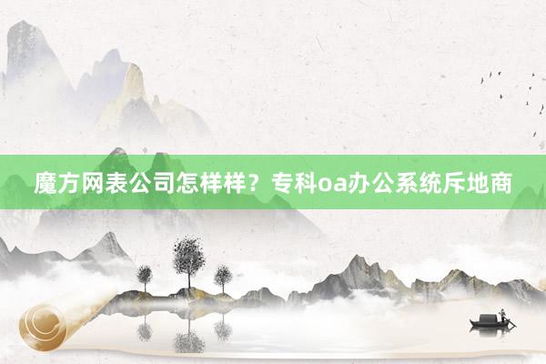魔方网表公司怎样样？专科oa办公系统斥地商