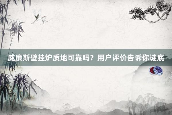 威廉斯壁挂炉质地可靠吗？用户评价告诉你谜底
