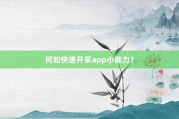 何如快速开采app小能力？